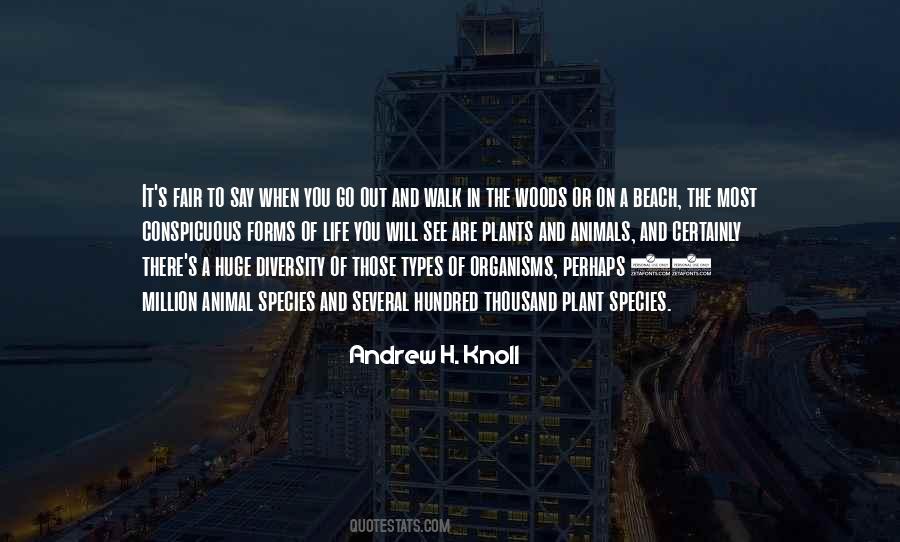 Go To The Beach Quotes #838059