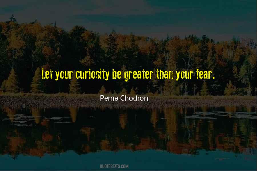 Your Curiosity Quotes #334197