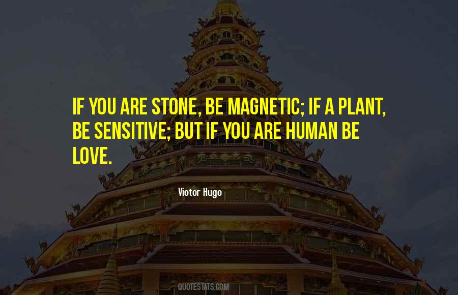 Be A Stone Quotes #1047498