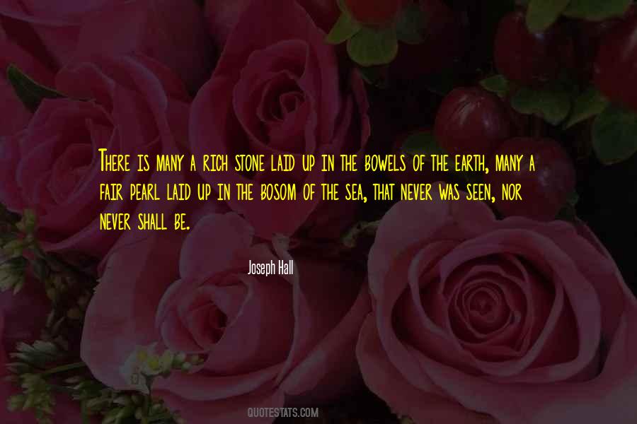 Be A Stone Quotes #1086094