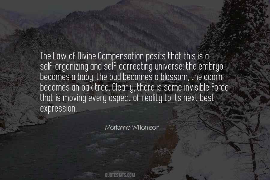 Divine Compensation Quotes #1544209
