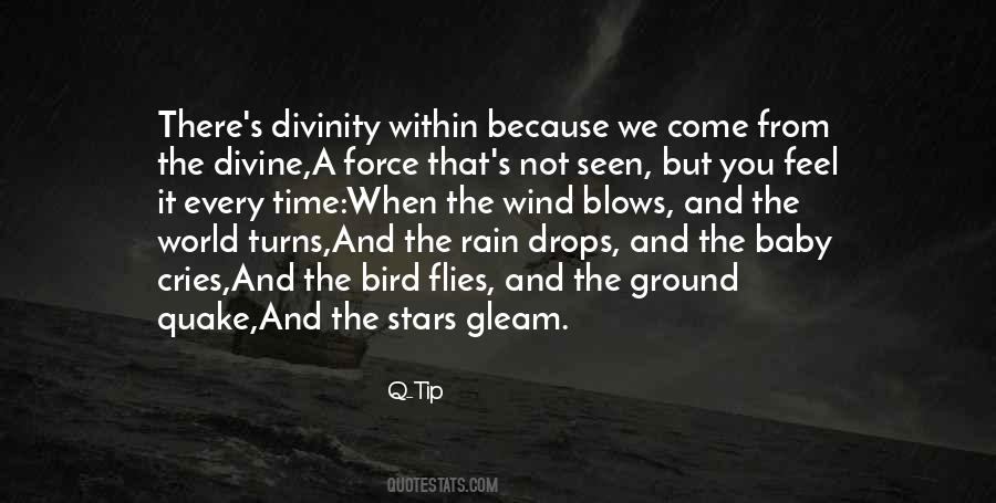 Divinity Within Quotes #1141949