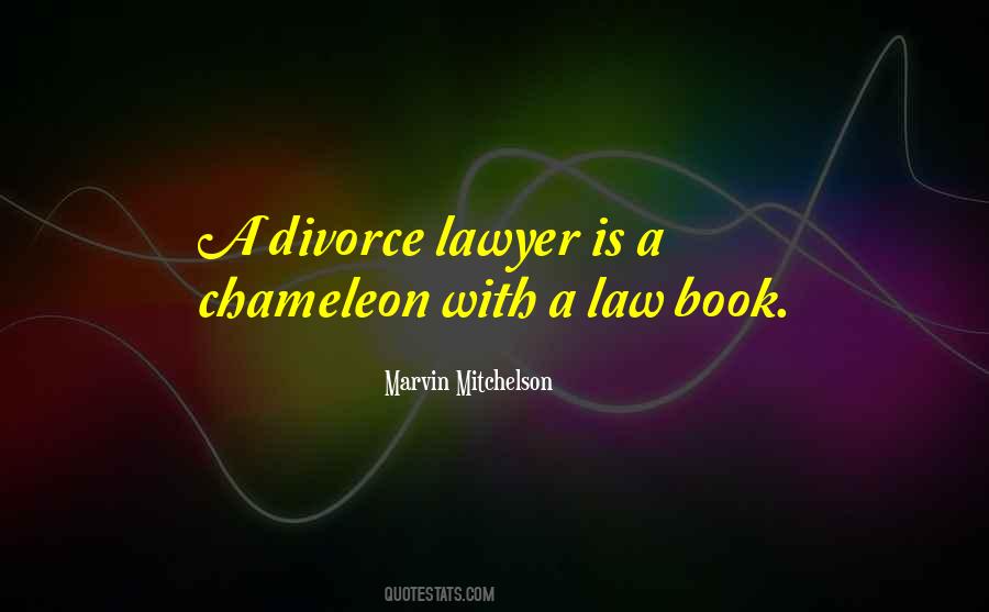 Divorce Lawyer Quotes #1626441