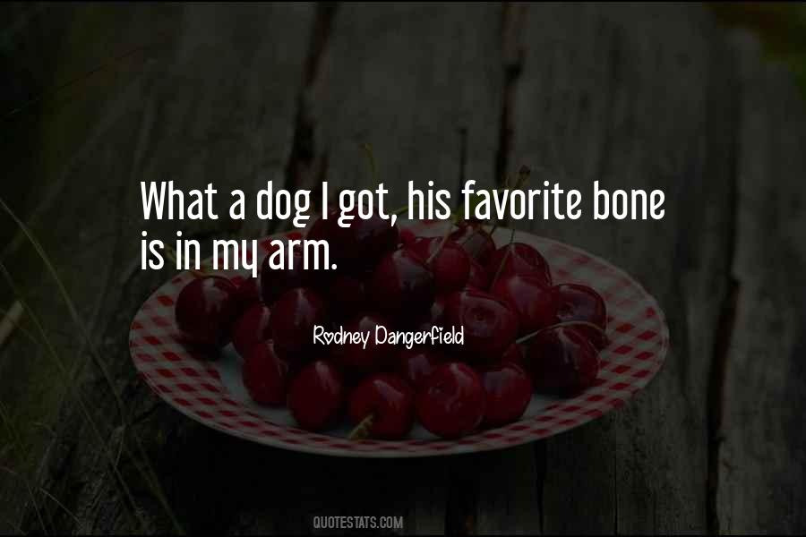 Quotes About A Pet Dog #1472860