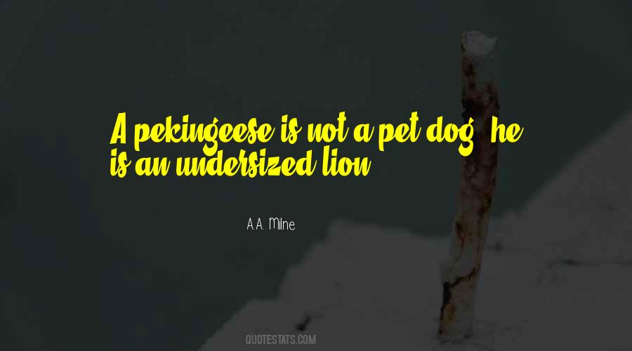 Quotes About A Pet Dog #1625813