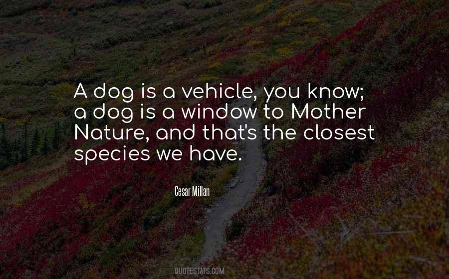 Quotes About A Pet Dog #1746722