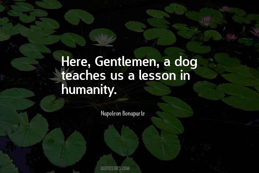 Quotes About A Pet Dog #808308