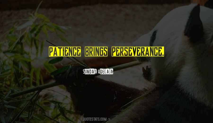 Patience Perseverance Quotes #1278623