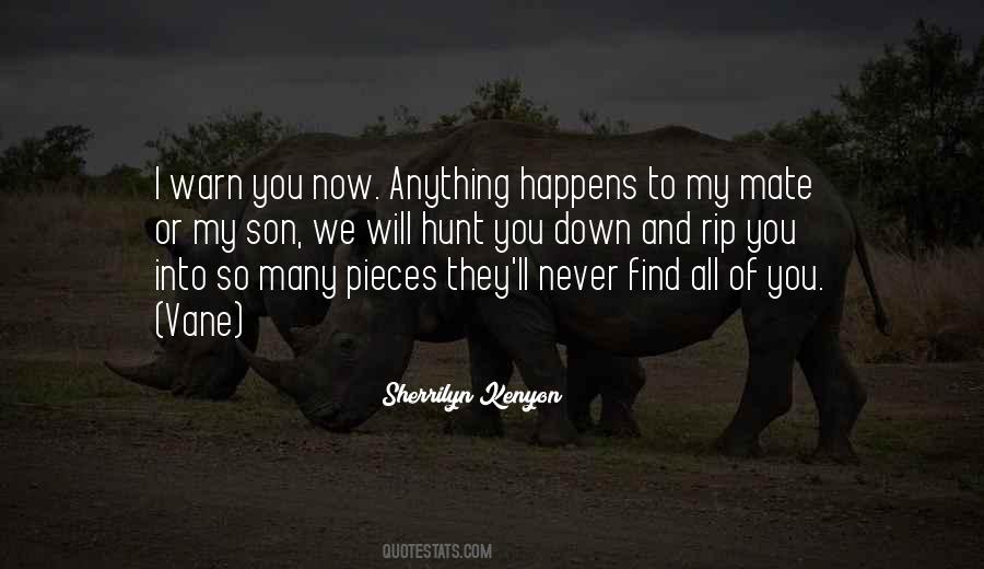 I Will Hunt You Down Quotes #90596