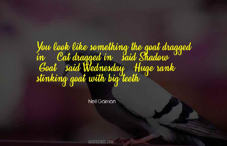 Cat Shadow Quotes #236150