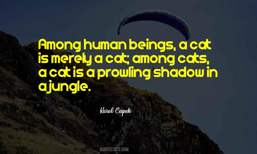 Cat Shadow Quotes #78644