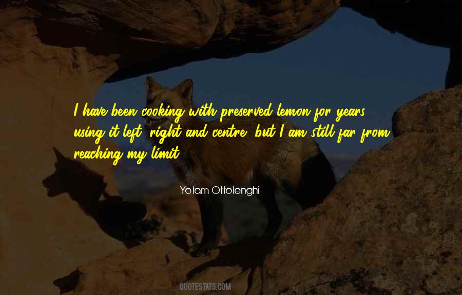 Reaching My Limit Quotes #1502772