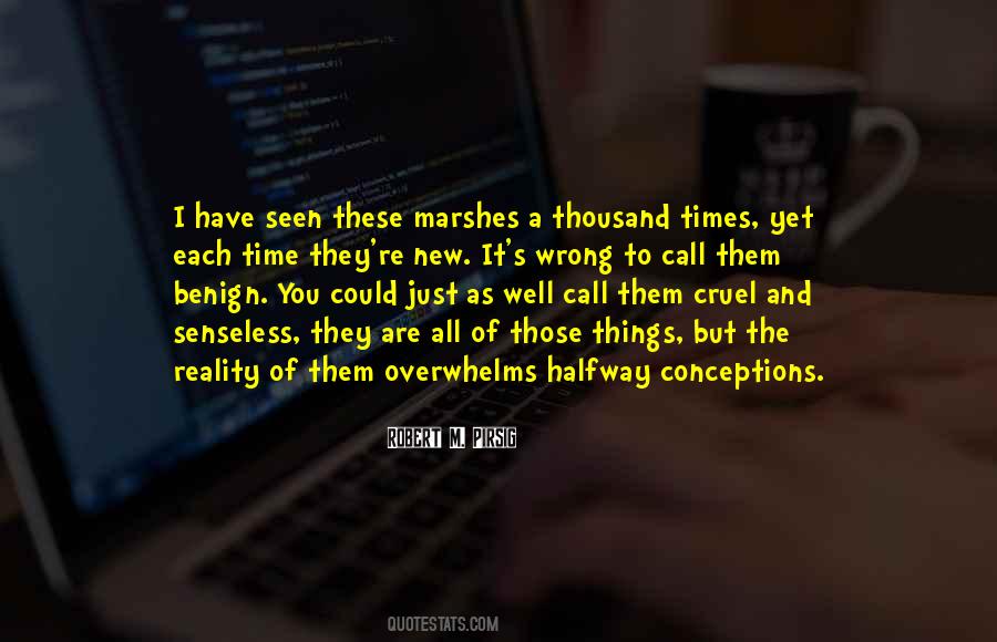 Russell Crowe South Park Quotes #419251