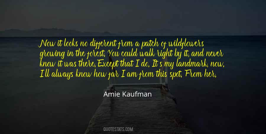 Square Wall Art Quotes #337569