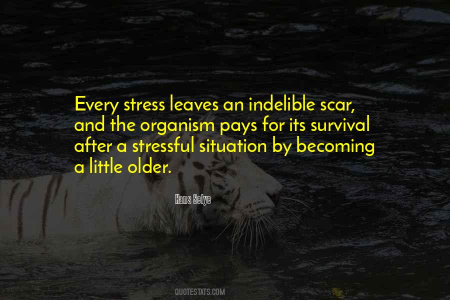Stress Situation Quotes #1783053