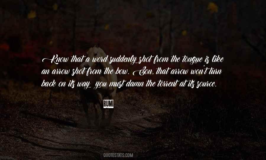An Arrow Can Only Be Shot Quotes #1298343