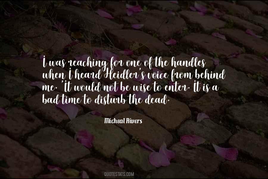 Not To Disturb Someone Quotes #32676