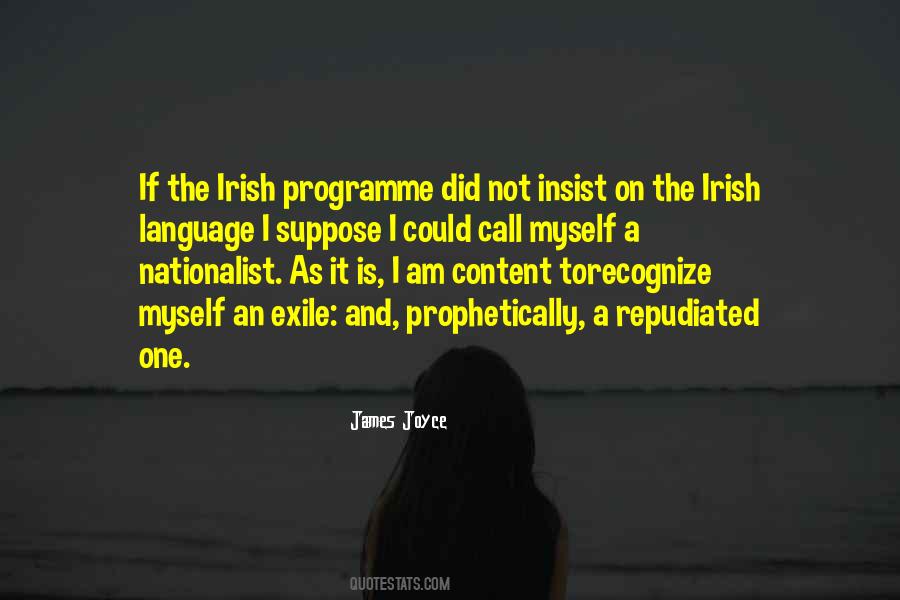 Quotes About Irish Language #391008