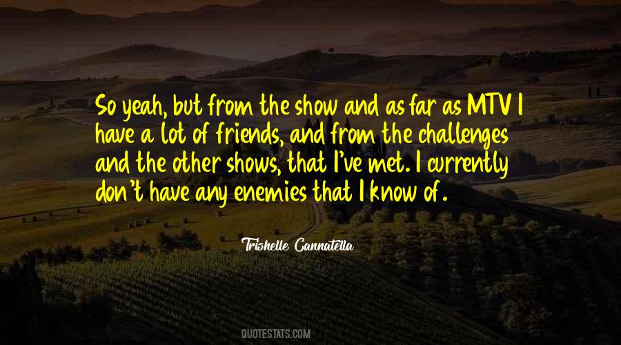 We Have Met The Enemy And He Is Ours Quotes #500743