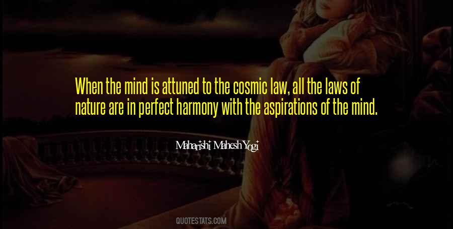 Perfect Mind Quotes #366903