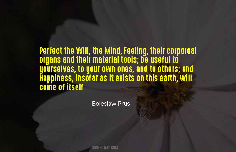 Perfect Mind Quotes #435843