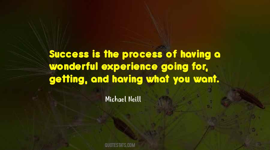 Quotes About The Process Of Success #1251253