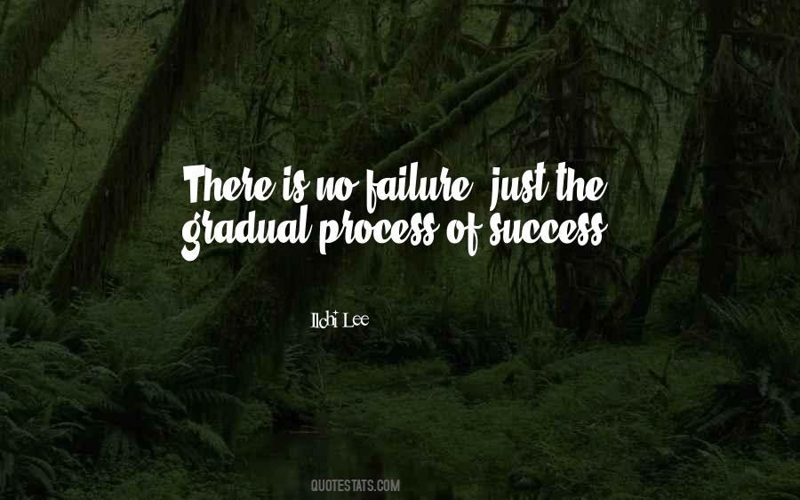Quotes About The Process Of Success #947408