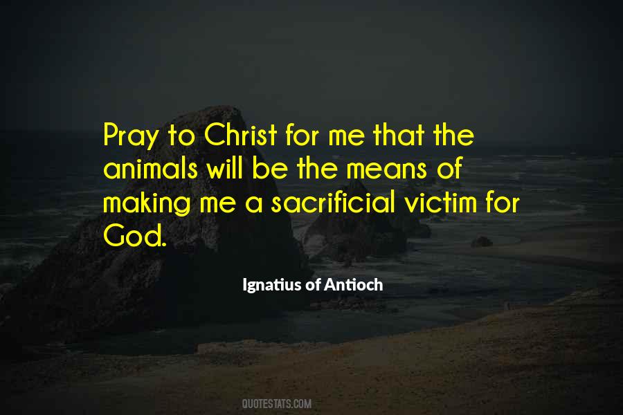 Making Yourself A Victim Quotes #578672