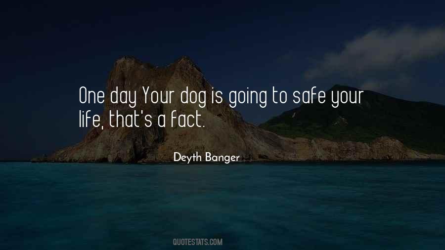 Dog Is Quotes #1027029