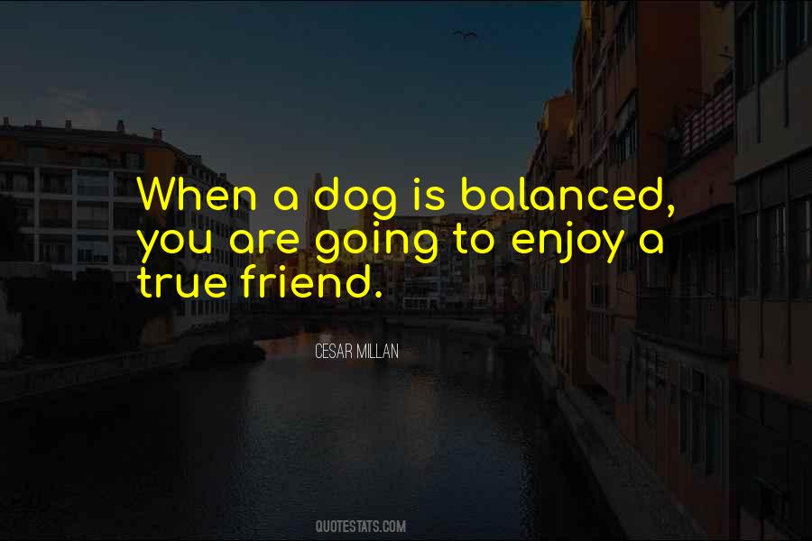 Dog Is Quotes #1048504