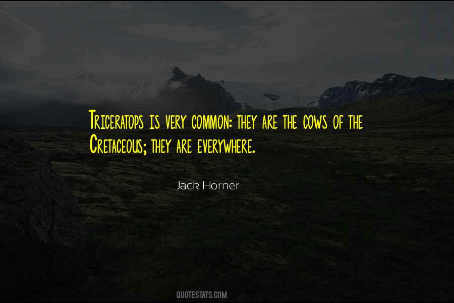 Jack Will From Wonder Quotes #3326