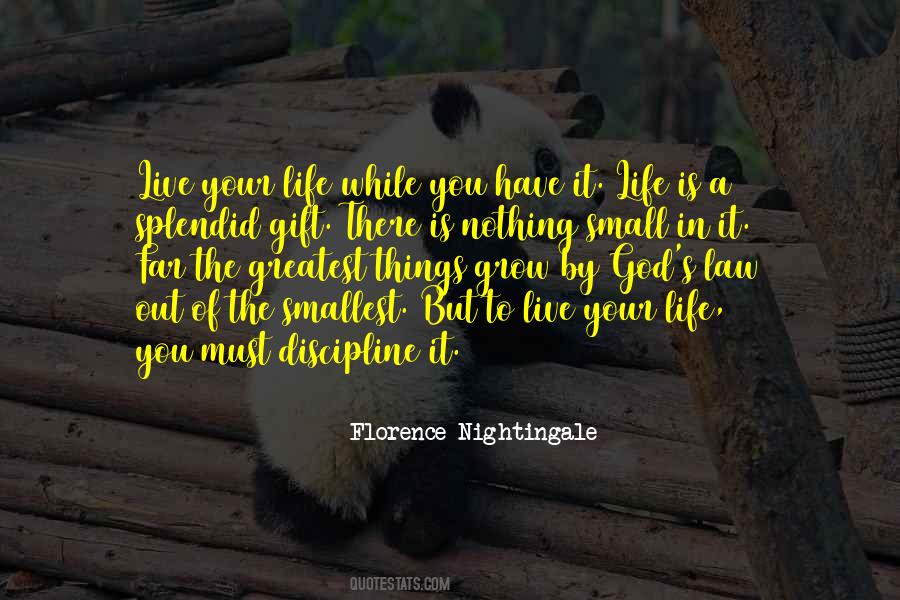 It Is The Small Things In Life Quotes #1338766