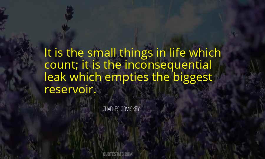 It Is The Small Things In Life Quotes #1454442