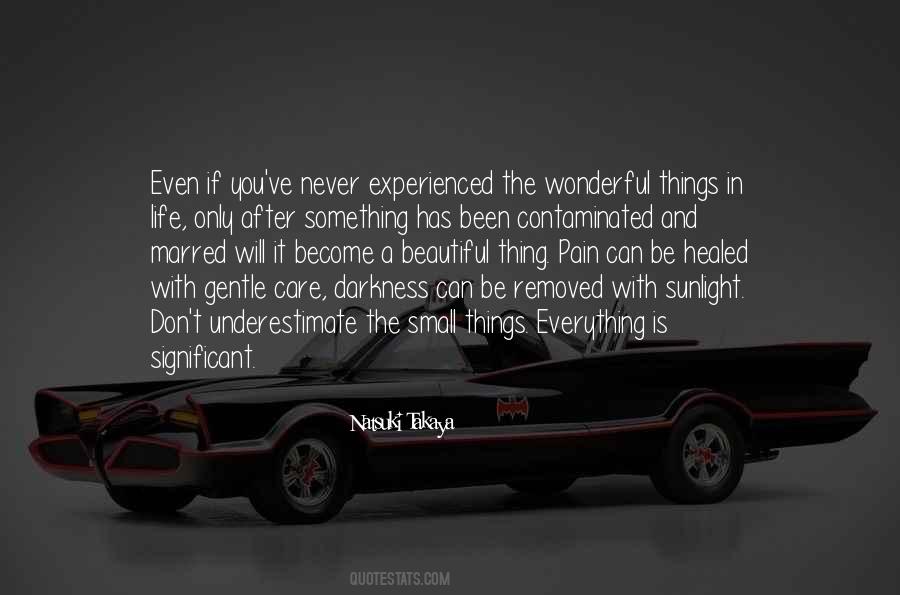 It Is The Small Things In Life Quotes #1879483