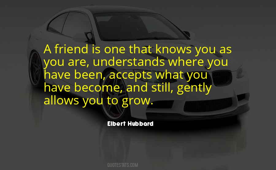 Friend Is One Who Understands Quotes #641760