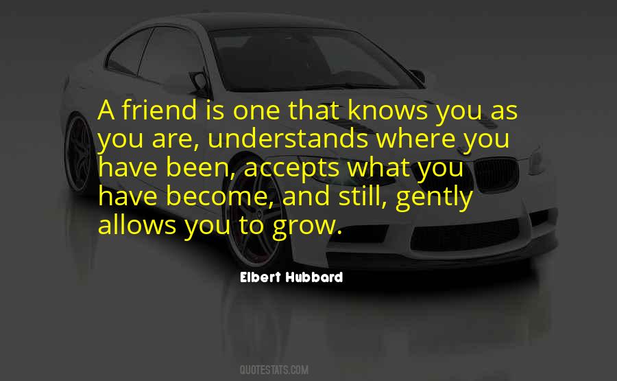 Friend Is One Who Understands Quotes #641760