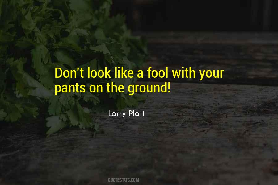 Do I Look Like A Fool Quotes #1748289