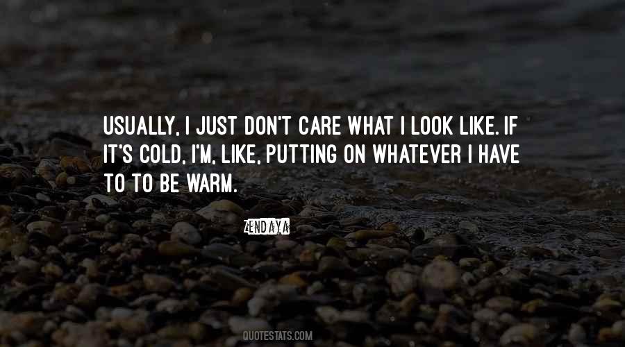 Do I Look Like I Care Quotes #358190