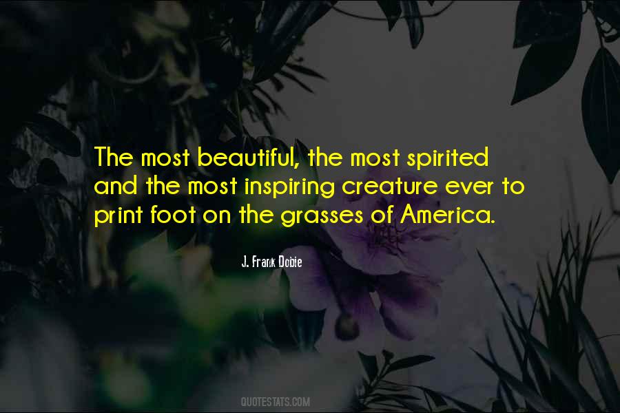 Beautiful Life Happy Good Morning Quotes #59815
