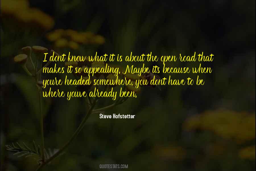You Just Dont Know How Much I Love You Quotes #1818413