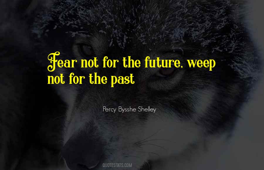 Do Not Fear The Future Quotes #90966