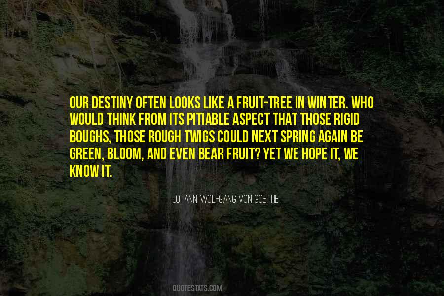 Spring In Bloom Quotes #830539