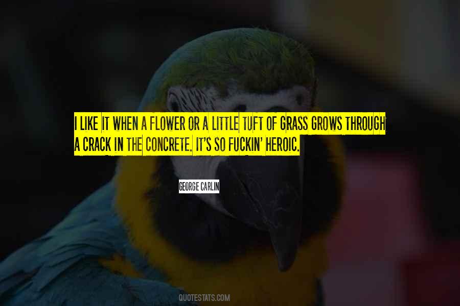 Nature Flower Quotes #240493