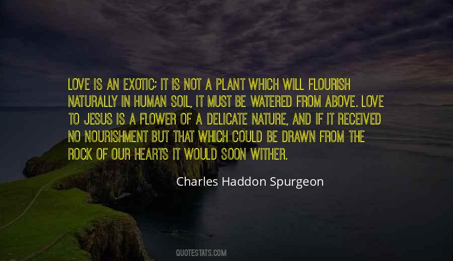 Nature Flower Quotes #519193