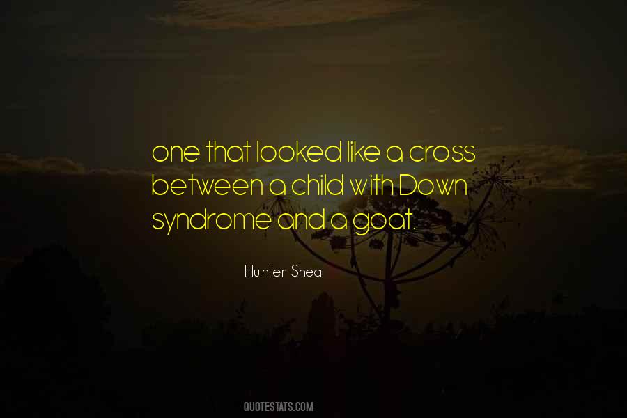 Quotes About A Cross #1206637