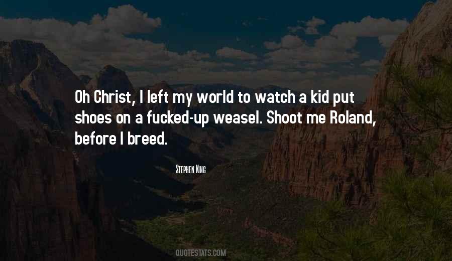 Shoot Me Quotes #1413845