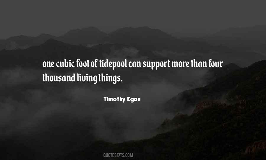 End Of Fiscal Year Quotes #1080162