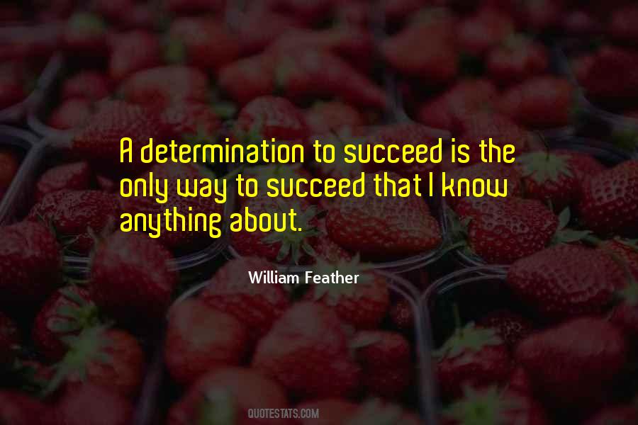 Perseverance Determination Quotes #1026664