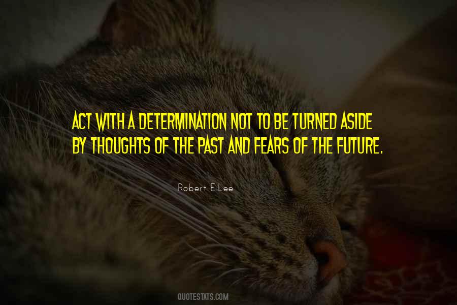 Perseverance Determination Quotes #1617630
