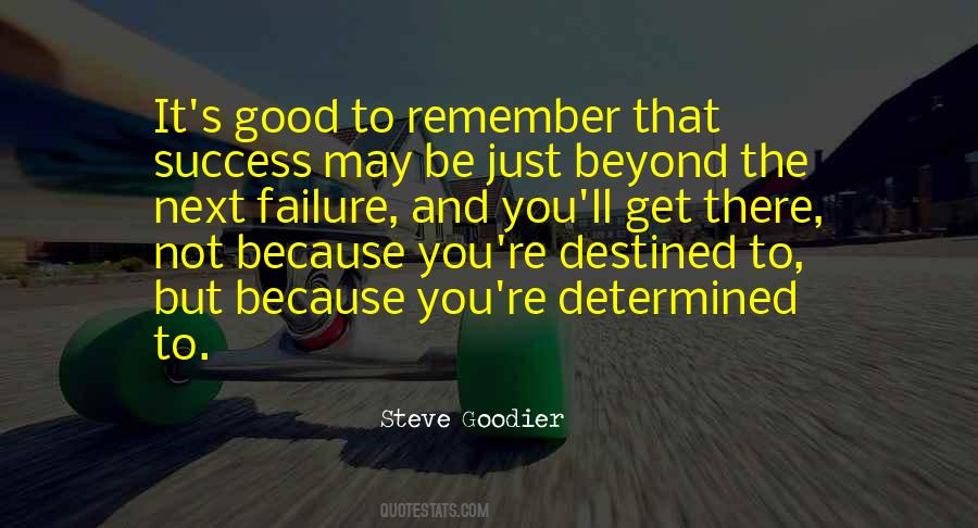 Perseverance Determination Quotes #669190